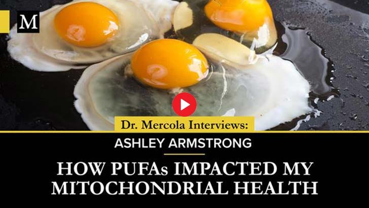 how pufa impacted my mitochondrial health
