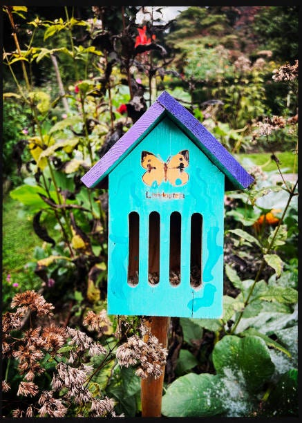 Old Butterfly House in Garden Old butterfly house butterfly house stock pictures, royalty-free photos & images