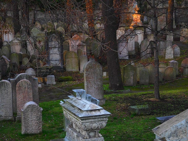 Image of a cemetery with a tree