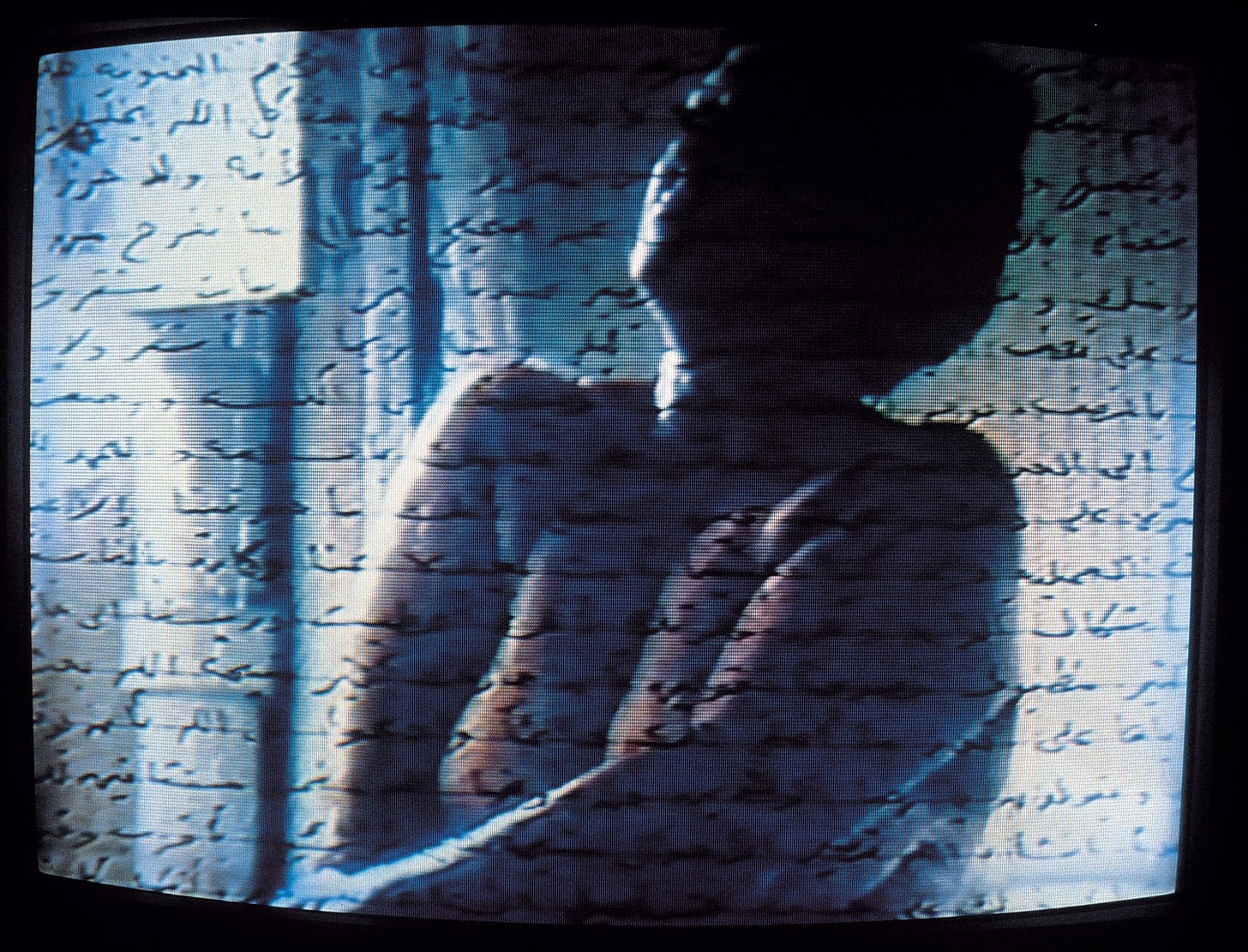 Mona Hatoum Measures of Distance 1988 (i) Courtesy the artist - Pulitzer  Arts Foundation