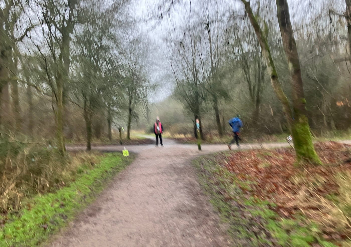 Blurry picture of a runner making a right turn past a sign and a marshal