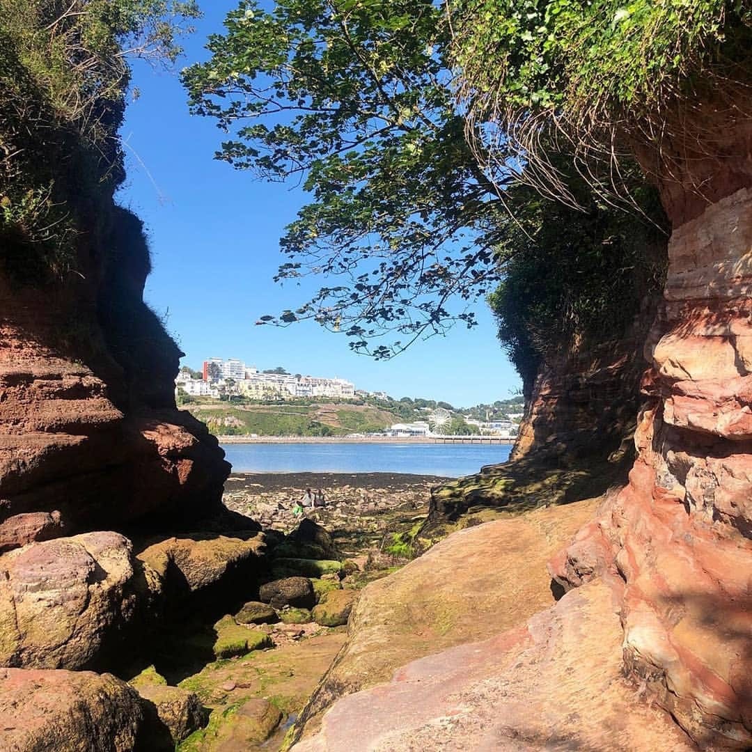 Rocks at low tide in Torbay. Photo from Visit Torquay