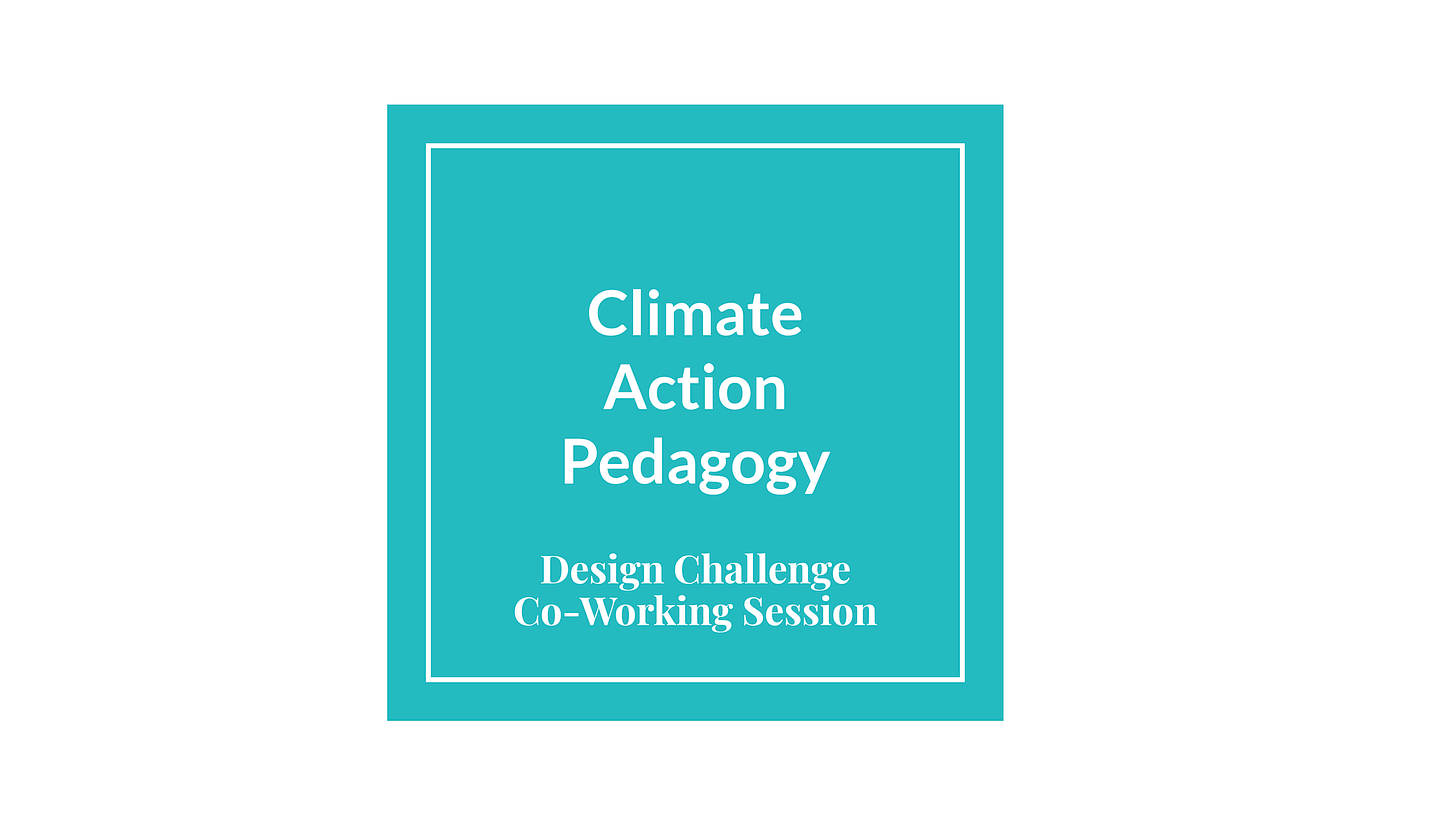 Screenshot - Climate Action Pedagogy Design Challenge Co-Working Session