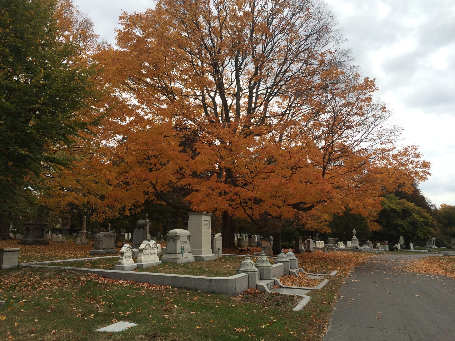 Mount Auburn Cemetery with gravestones and orange fall trees.