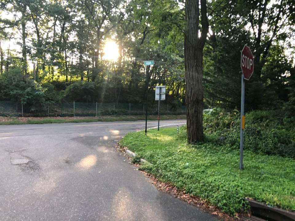 May be an image of road, grass, tree and twilight