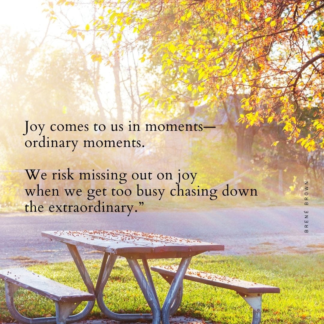 Joy comes to us in moments—ordinary moments. We risk missing out on joy when we get too busy chasing down the extraordinary.” ―Brené Brown