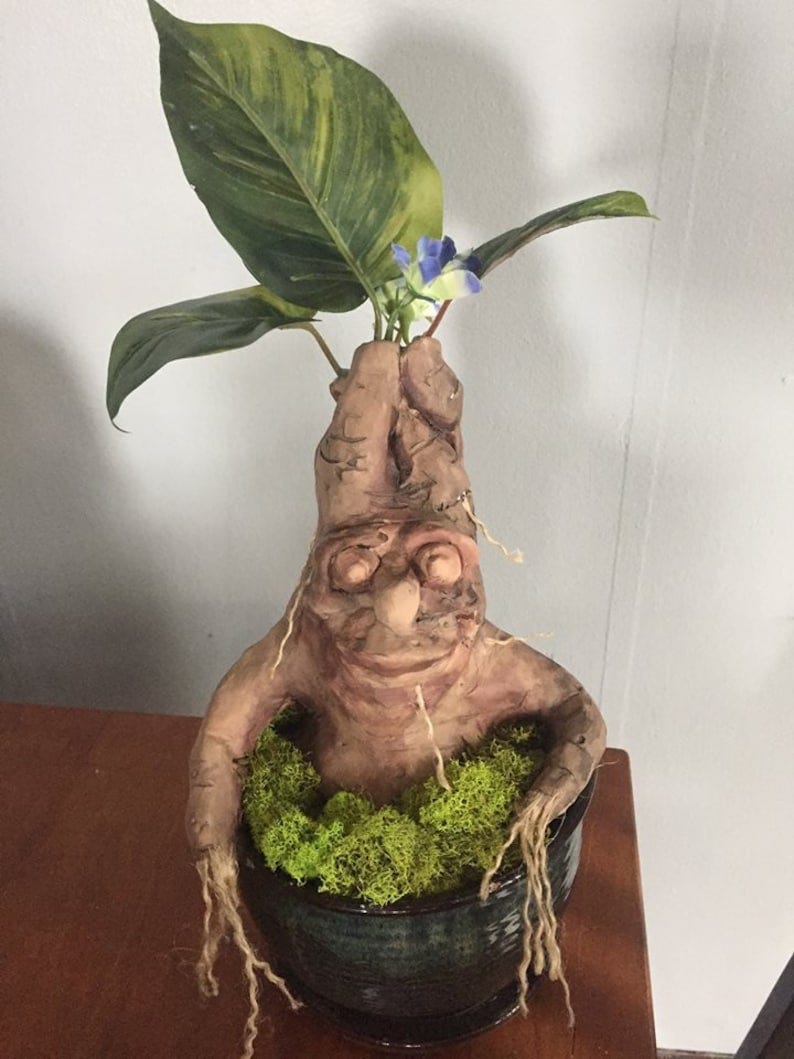 BIG Hand sculpted Magical Mandrake Root Harry Potter Mandrake | Etsy