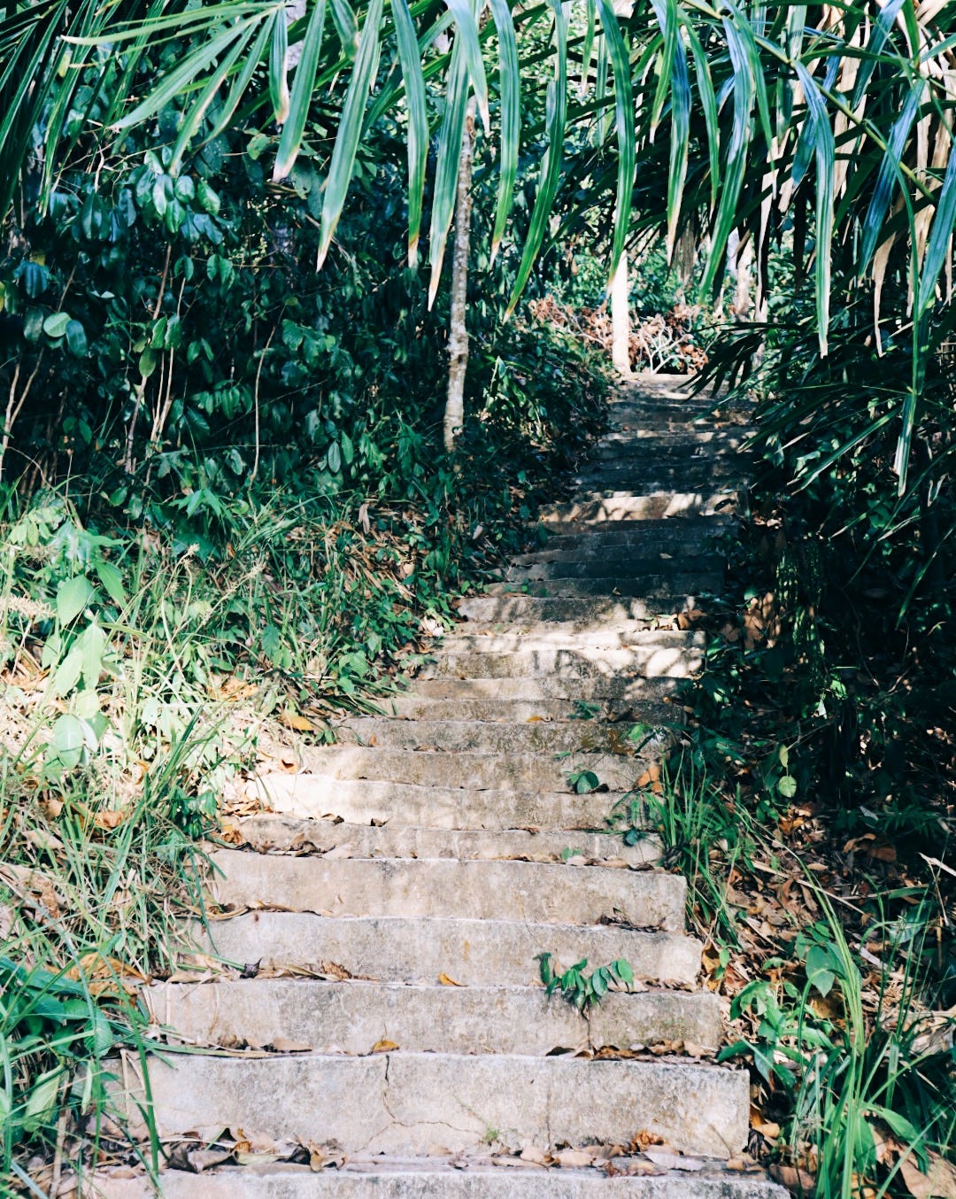 Steep stairs leading upward