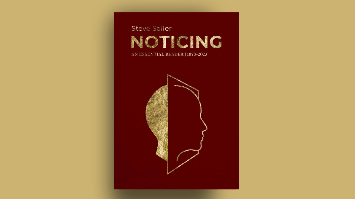 "Noticing" book cover