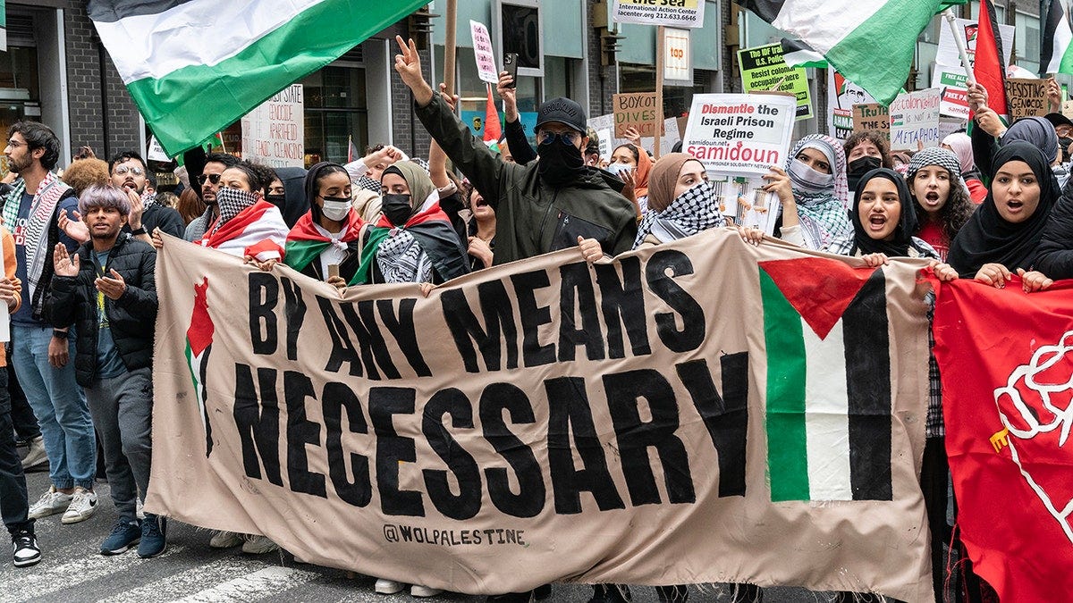 Lawmakers urge Biden admin to take action against pro-Hamas demonstrations  spreading across college campuses | Fox News