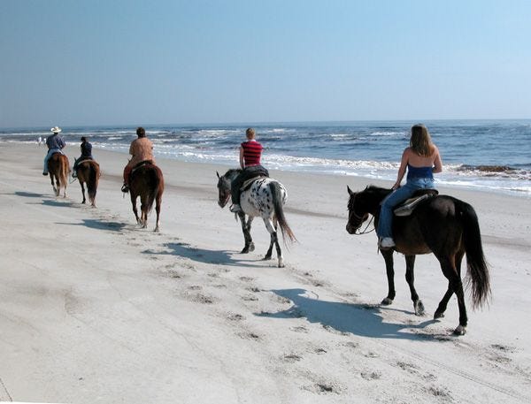 Horseback Riding on Amelia Island, Florida