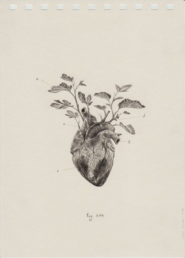 This may contain: a drawing of a plant growing out of a human heart's body, with leaves on it