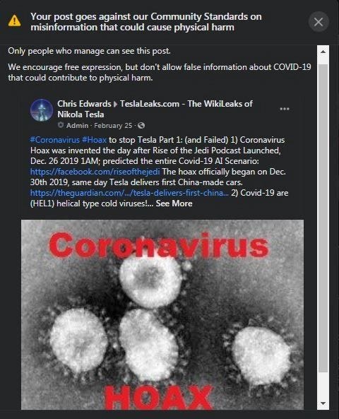 Posted February 25th 2020: Coronavirus Hoax. Updated to 66.6+ Reasons Why Corona Virus is a Full-Blown Hoax: removed by Facebook January 5th 2021