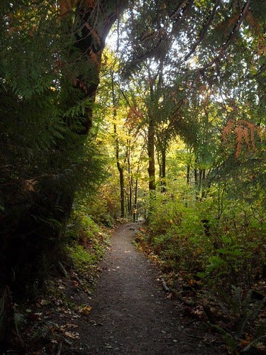 Path least taken | Cougar Mountain | laurie.bachand | Flickr