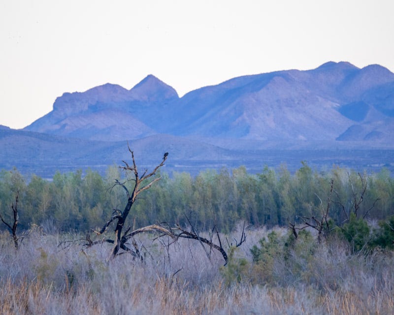 20240218-Yuma-619-Edit.jpg