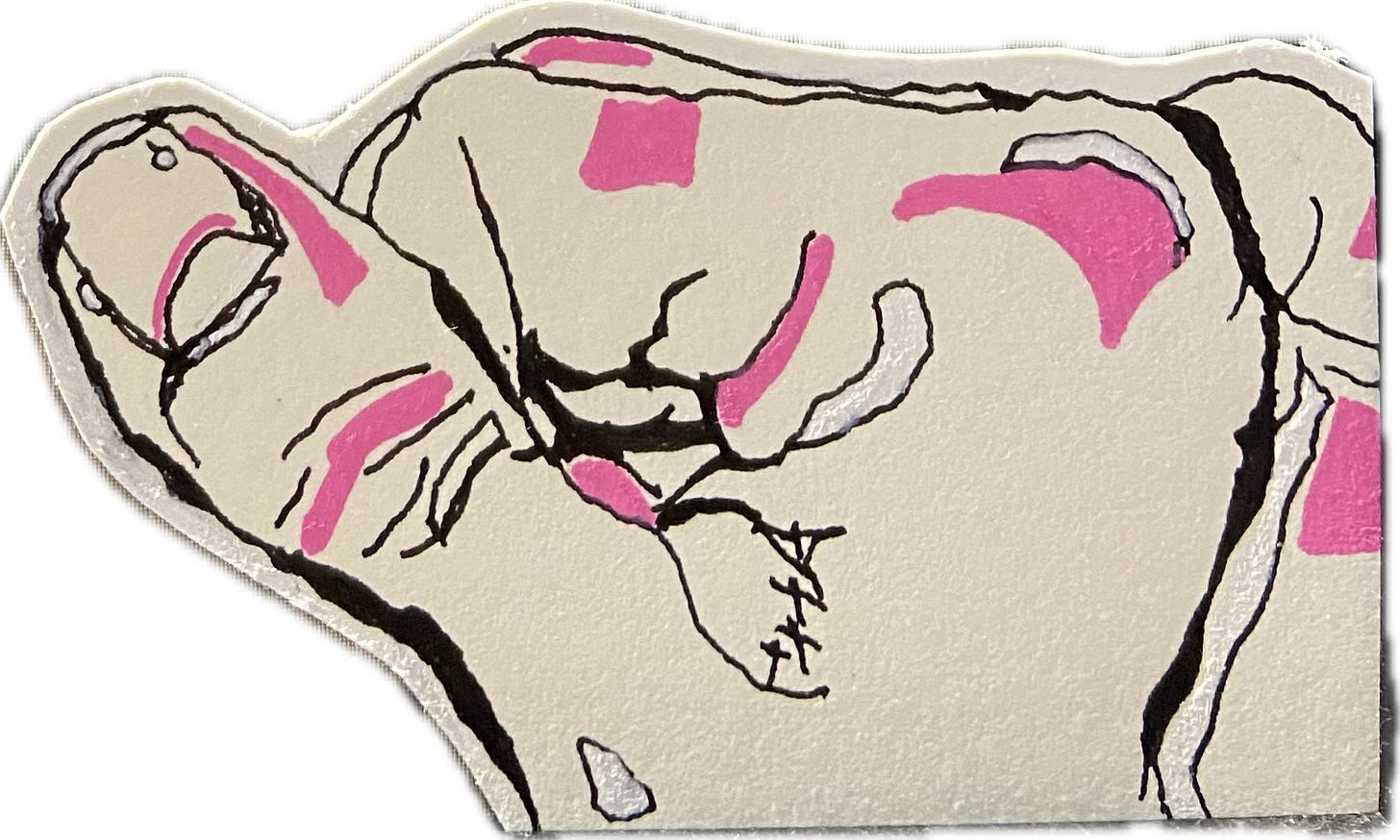 pen sketch of a thumb and part of a right hand, with pink and white highlights