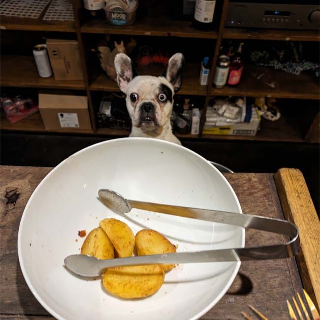 A goofy looking dog peers up from behind the bar towards a bowl with a few roast potates and a pair of tongs.