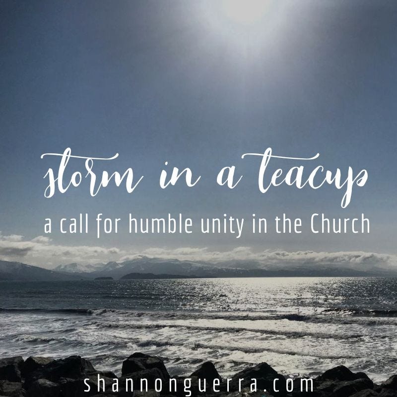 storm in a teacup: a call for humble unity in the Church