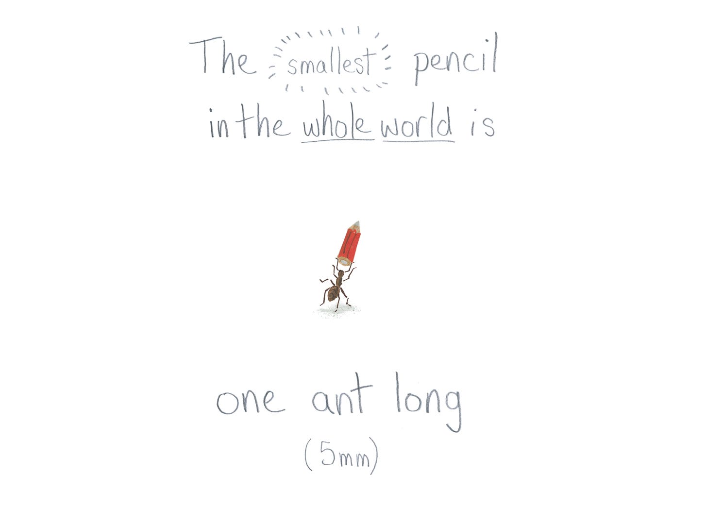 Small watercolour illustration of an ant holding up a tiny red pencil. Handwritten text reads: the smallest pencil in the whole world is one ant long (5mm)