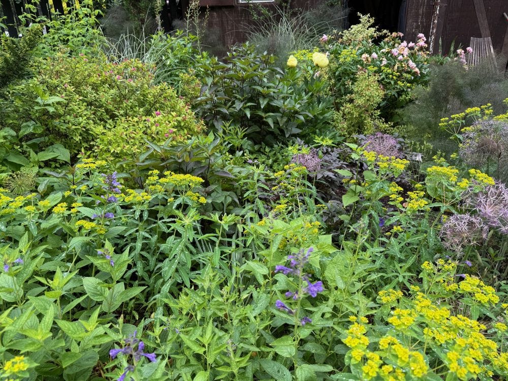 garden