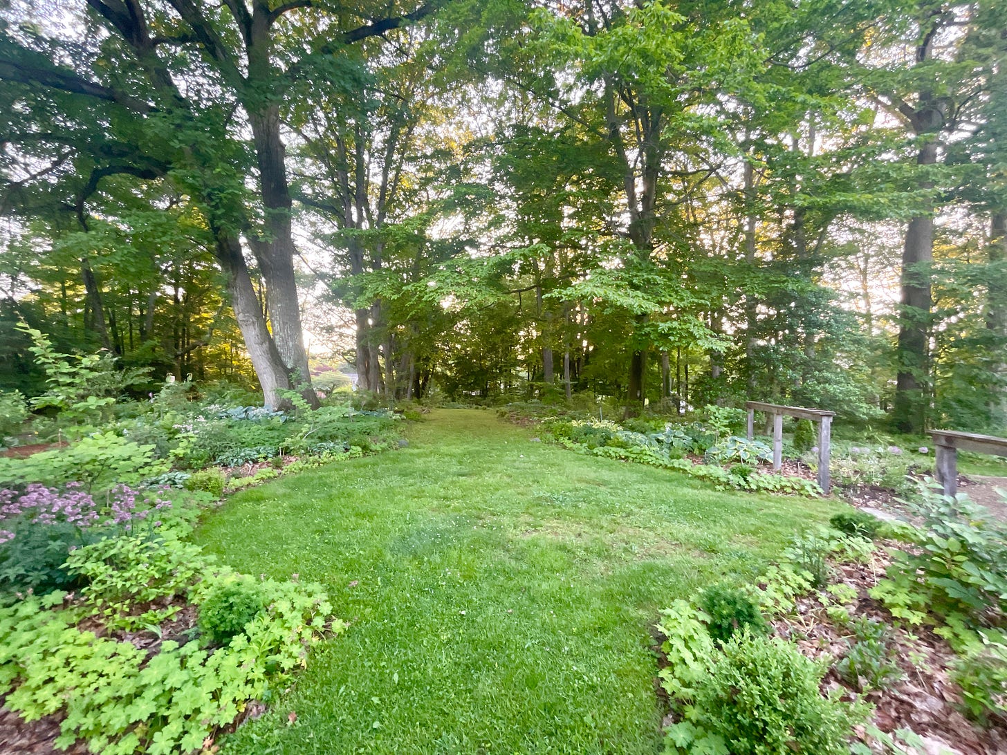 The Moss Walk in the Woodland Garden at Havenwood