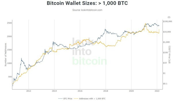 Bitcoin wallets met meer dan 1000 BTC (bron: lookintobitcoin.com)