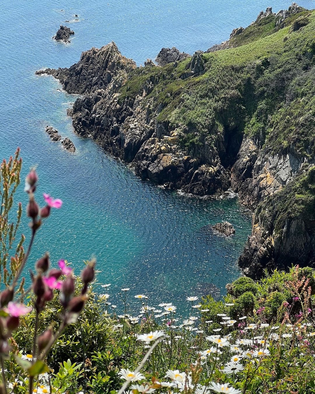 Guernsey in bloom, Photo from Visit Guernsey