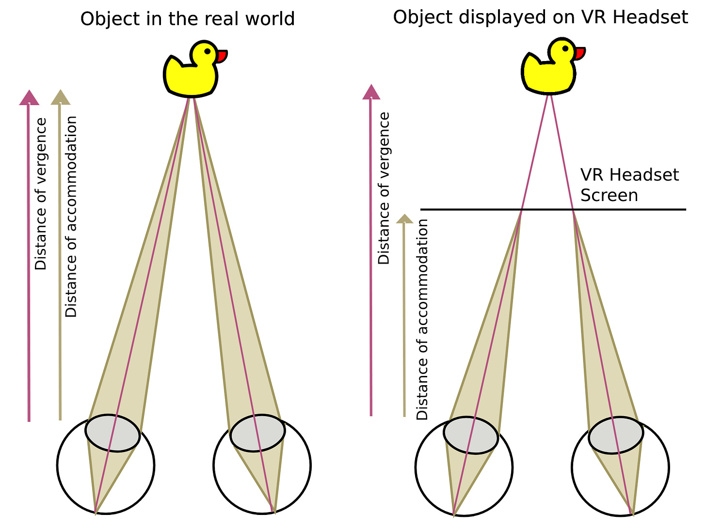 On the left side of this image, a pair of eyes focus on a duck in front of them. The right side shows the same, but a line is drawn in front of the eyes to represent the "VR Headset Screen". Arrows are labeled with "distance of vergence" and "distance of accomodation" and the latter is shorter on the right side due to the VR screen.