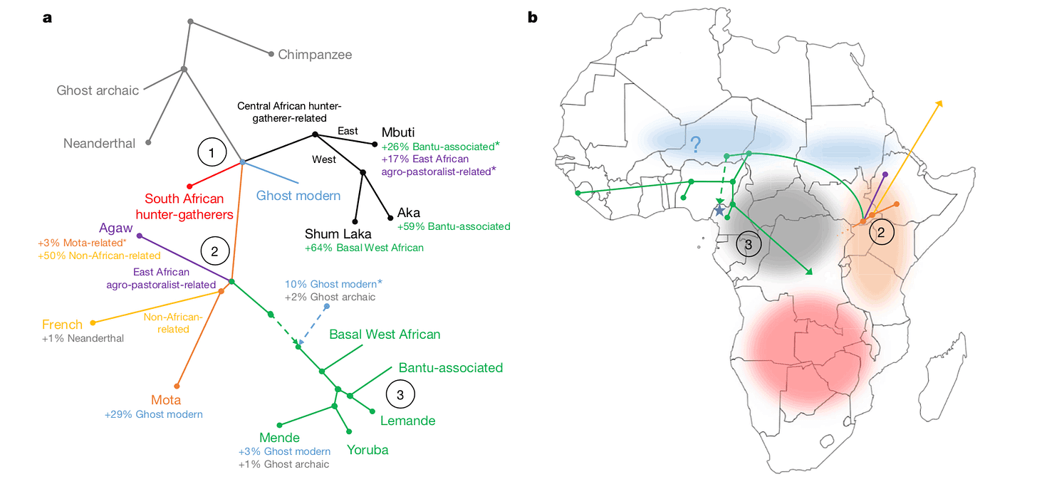 Left panel is a population tree connecting African groups and ancient DNA, right is a map of Africa with color blobs representing possible homelands of varied groups. Left panel is a population tree connecting African groups and ancient DNA, right is a map of Africa with color blobs representing possible homelands of varied groups.