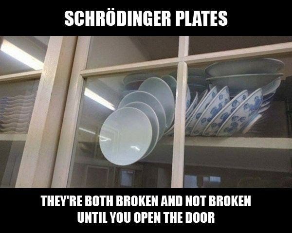 Non ho capito il paradosso del gatto di Schrödinger. Come si può spiegare  in modo chiaro e semplice? - Quora