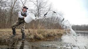 Maryland Launches Preseason Trout ...