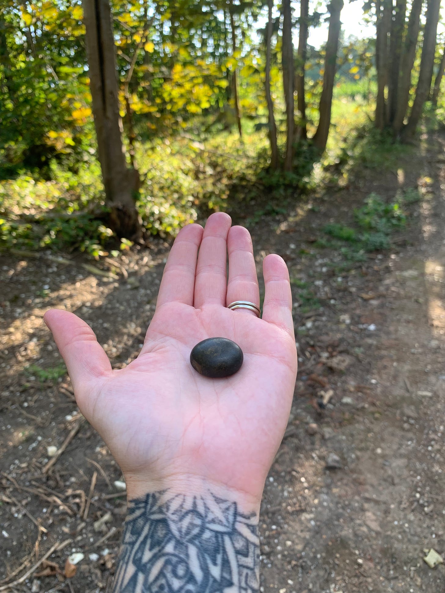 A photo of a hand holding a perfectly oval black rock in the woods