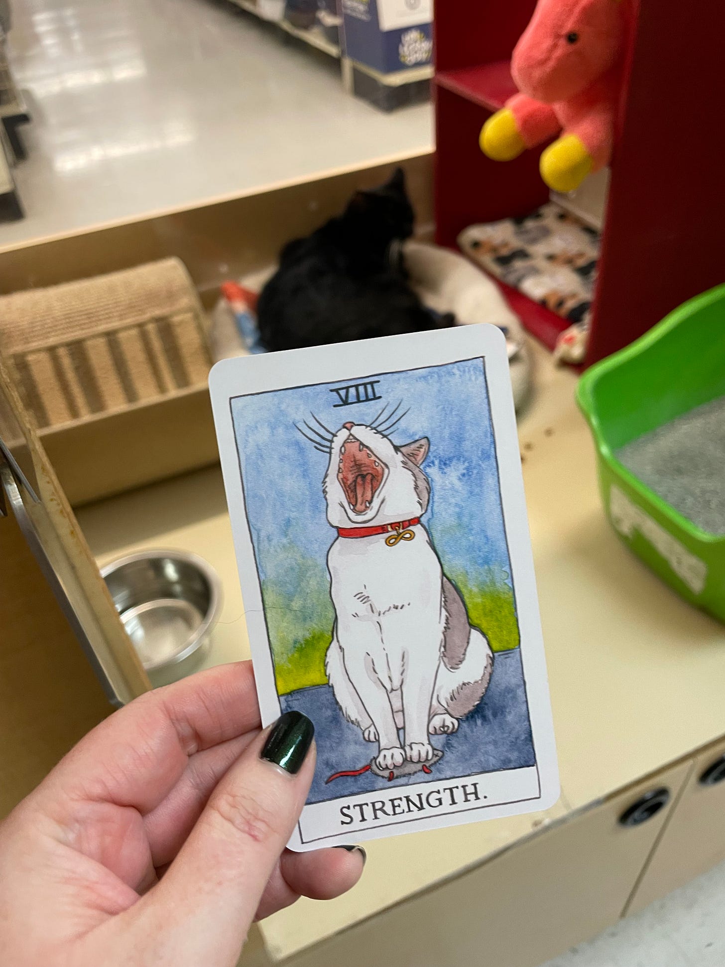 in the background is a cat in a large kennel in a petstore. in the foreground a white hand is hoolding up a tarot card with a cat yawning widely on it