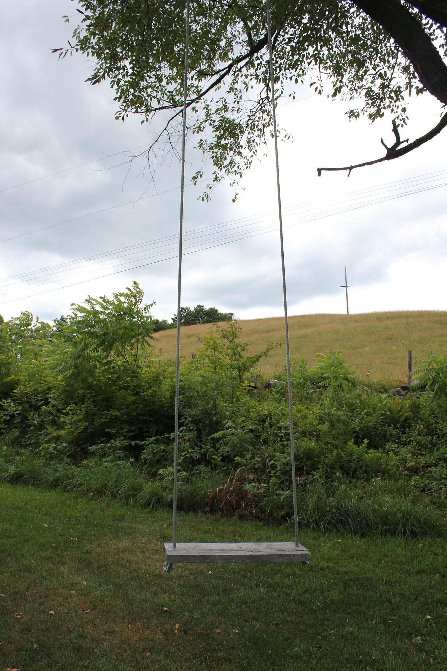 Tree swing in front of a hilly meadow