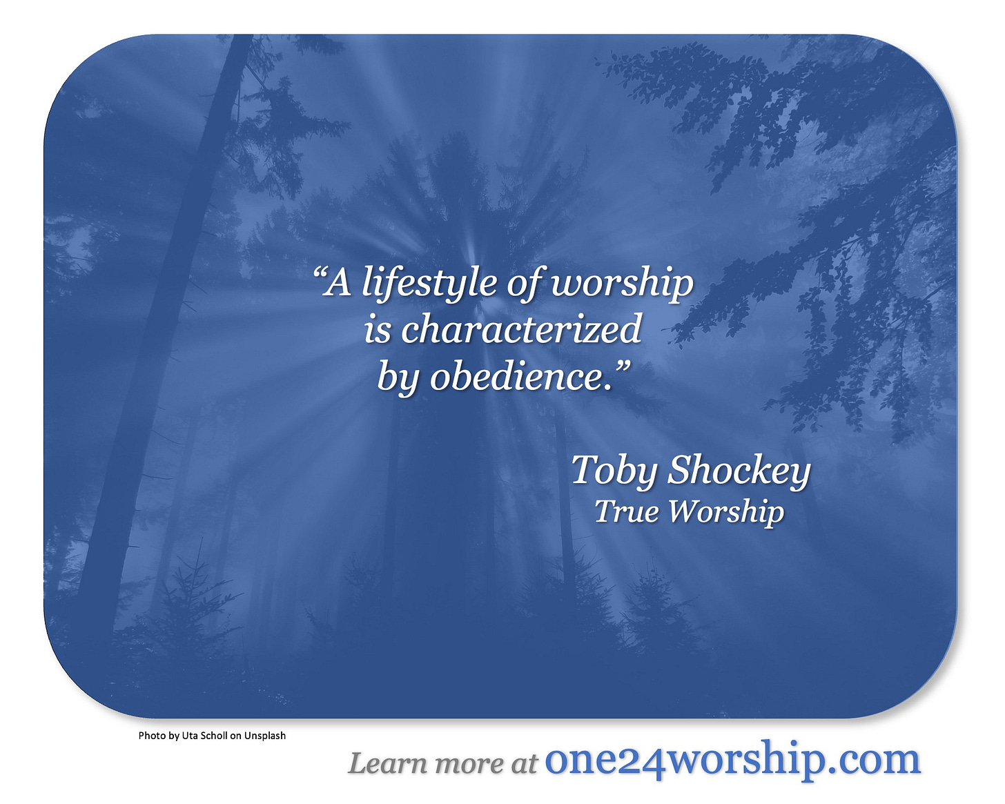 Image of sunbeams streaming from behind trees in a forest with Toby Shockey quote superimposed.