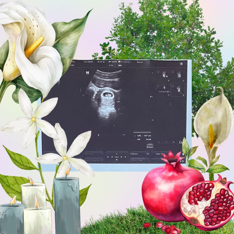 A picture of a baby ultrasound, surrounded by symbolisms of death and rebirth