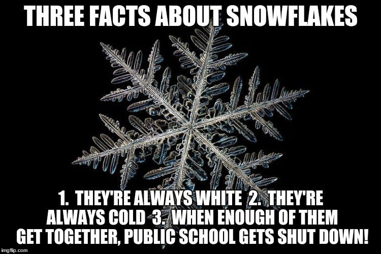 Close-up of a snowflake on black background "Three things about snowflakes: 1. They're always white, 2. They're always cold, 3. When enough of them get together, public school gets shut down!"