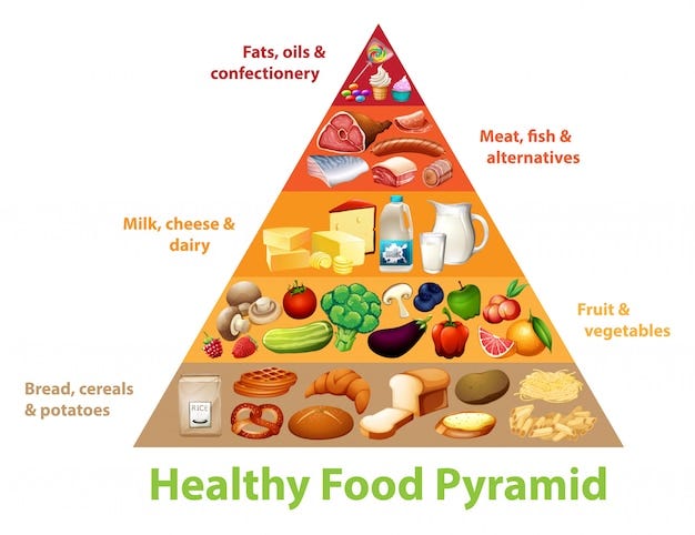 Page 3 | Food Pyramid Images - Free Download on Freepik