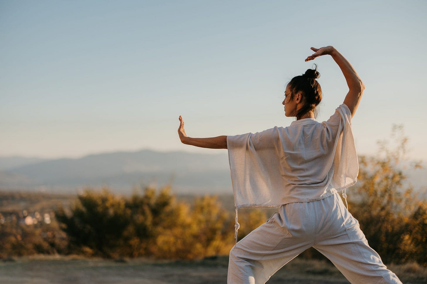 The Art of Qigong - FR - Chenot