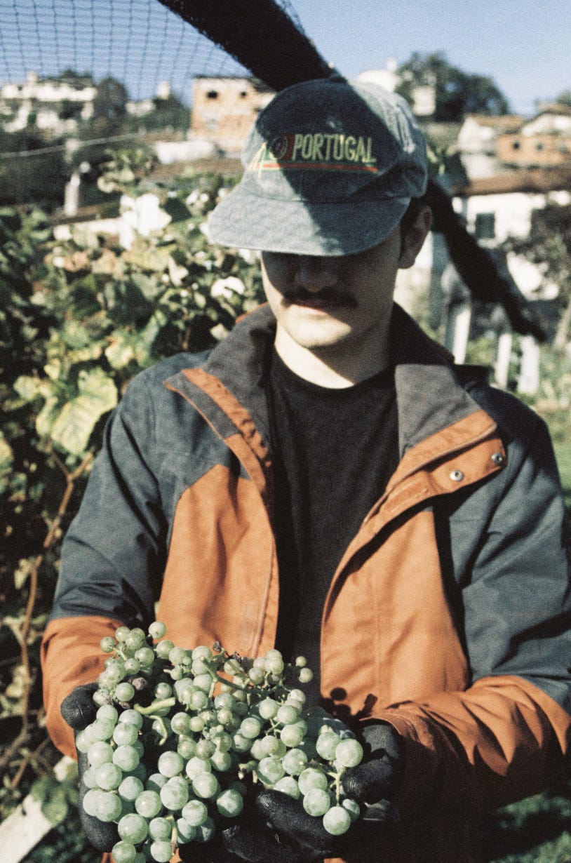A man in his late 20's holding a bunch of grapes, wearing a cap with "Portugal" on it.