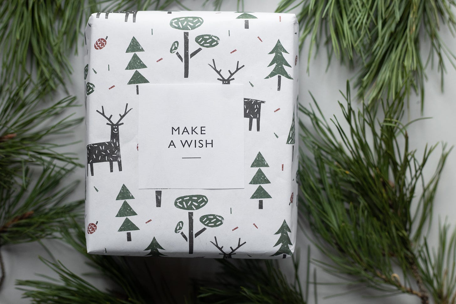 a gift-wrapped package bearing the label, "make a wish"