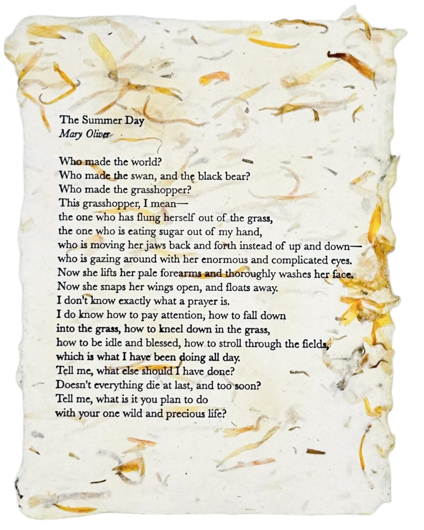 “The Summer Day” by Mary Oliver Art Print