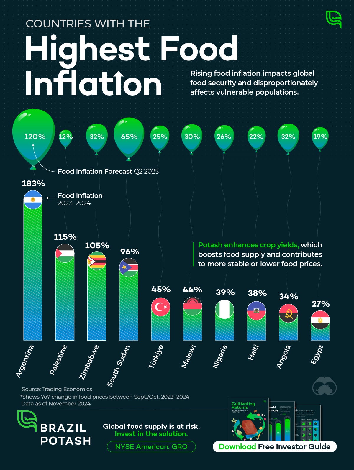 A bar chart showing which countries have the highest food inflation in 2024. Argentina and Palestine had the highest between 2023 and 2024.