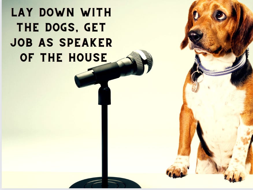 picture of dog behind a microphone — text on top reads “Lay Down with the Dogs. Get the Job of the house speaker”