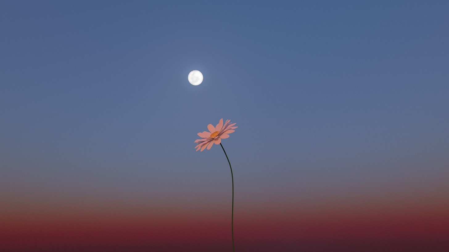 May's full 'Flower Moon' will be a micromoon. Here's how to watch it rise.  | Live Science