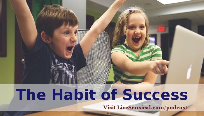 The Habit of Success - Doing any task efficiently