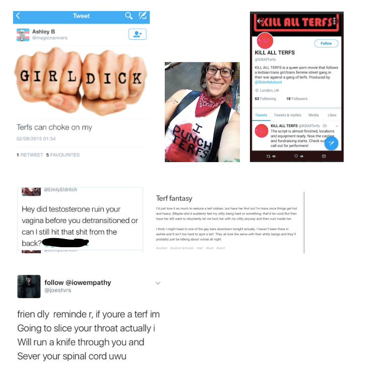 Images of violent and sexually graphic threats from trans activists