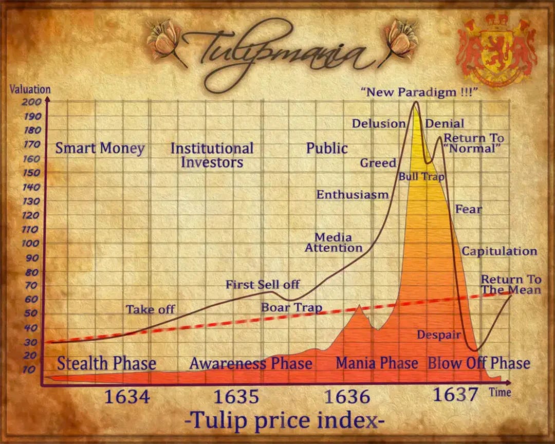 The Tulip Mania price index over time.