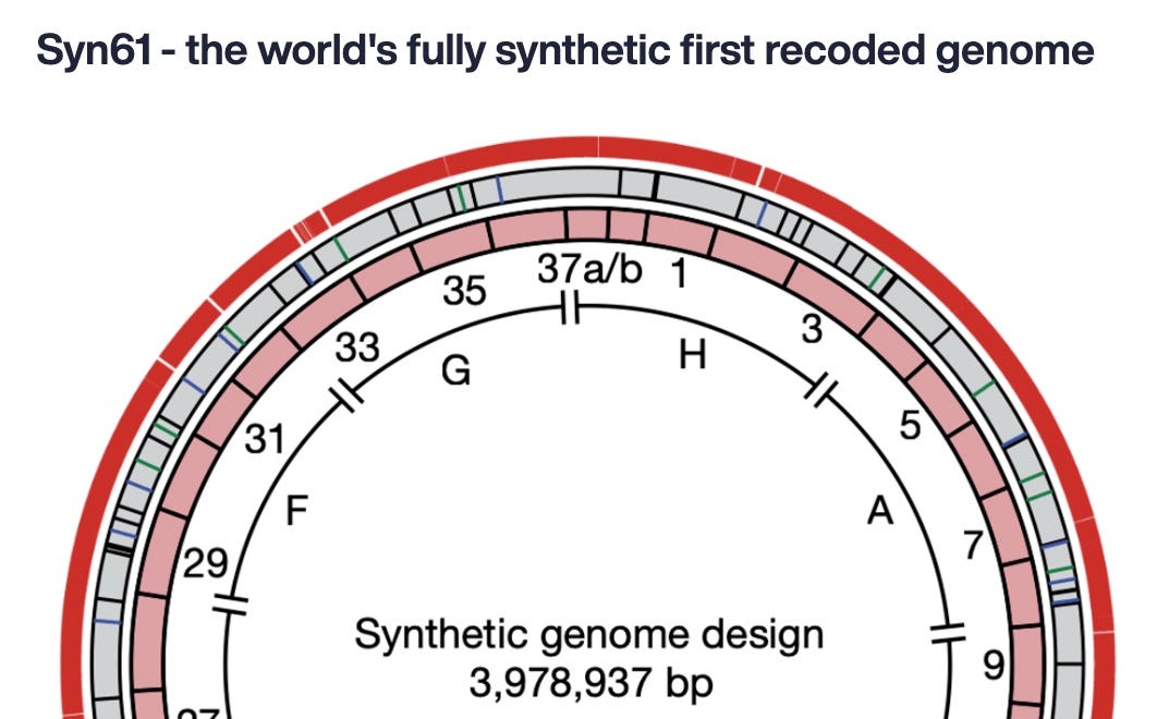 An image taken from Constructor Bio's website. A circular map of a genome, with the words (with an apparent copyediting mistake?): "The worlds fully synthetic first recorded genome." Below, in the middle the circle, the words "Synthetic genome design 3,978,937 bp"