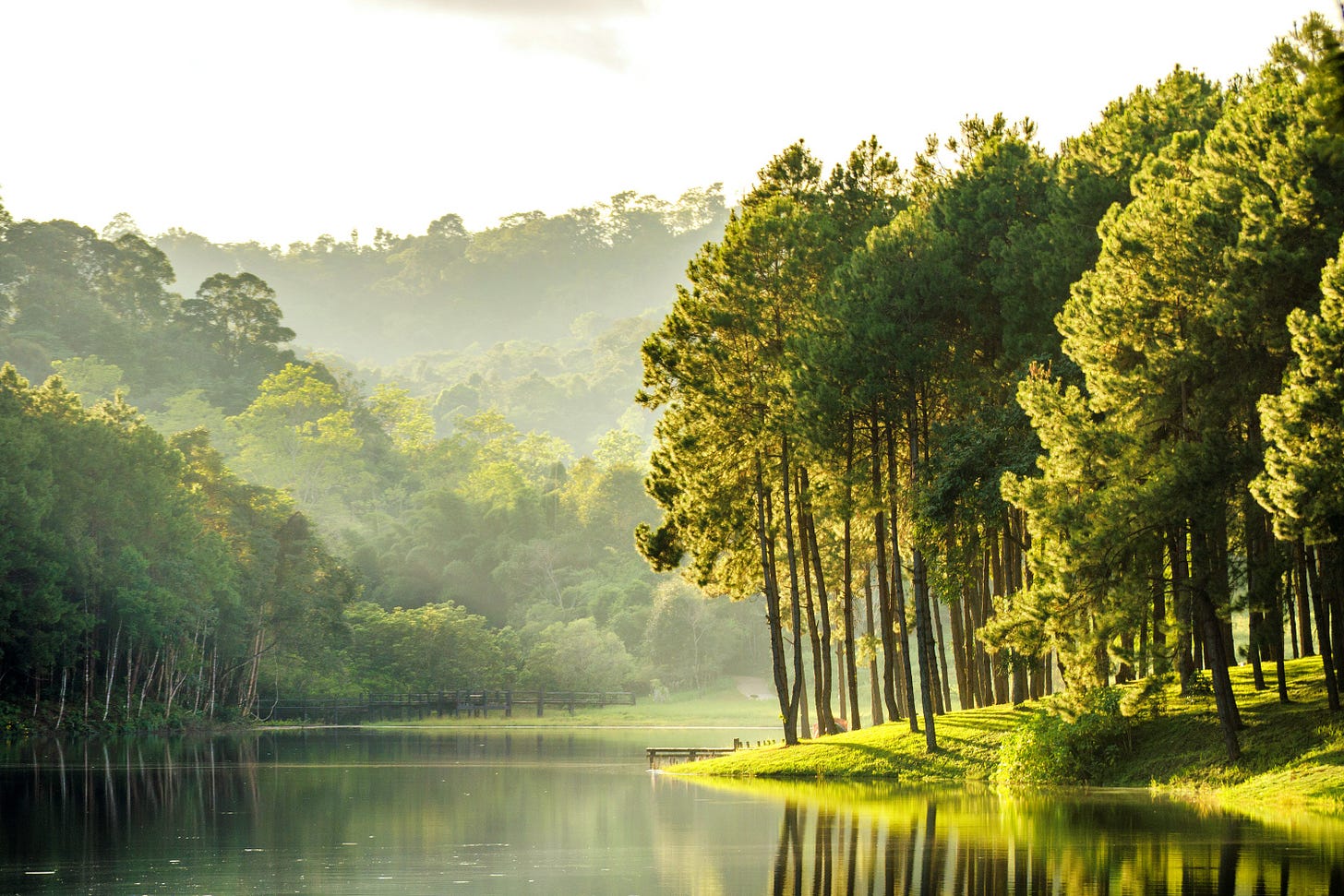 5 things we need to do to protect nature when we travel | CN Traveller